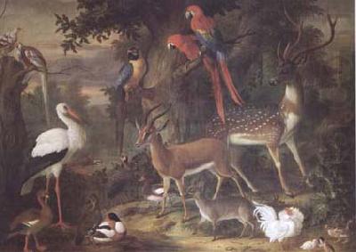 Jakob Bogdani Birds and deer in a Garden (mk25) china oil painting image